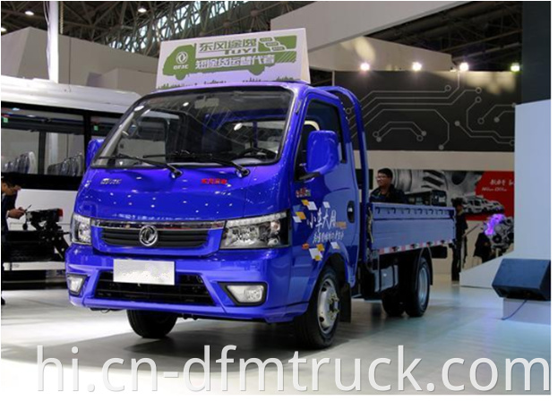 Dongfeng light truck (10)